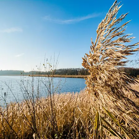 Exklusives Mit Sauna Und Panorama Dachterrasse, Traumhafter Ausblick Garantiert * Krakow am See